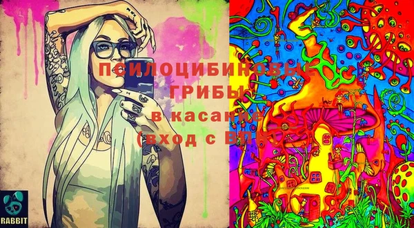 мяу мяу мука Алзамай