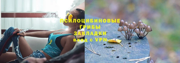 индика Алексеевка