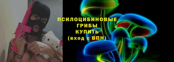 индика Алексеевка