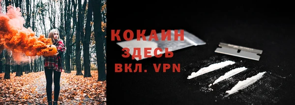 индика Алексеевка